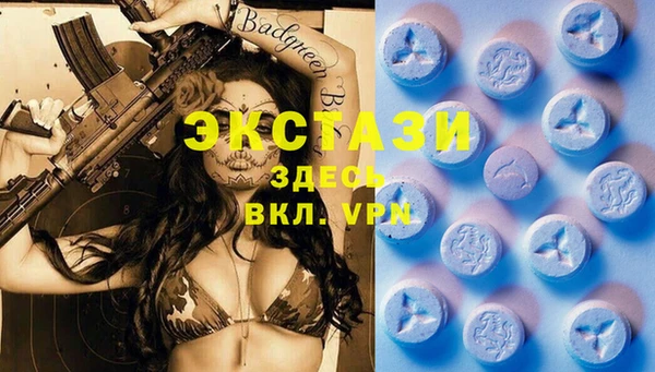 ECSTASY Няндома