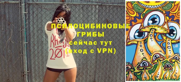 шишки Ветлуга
